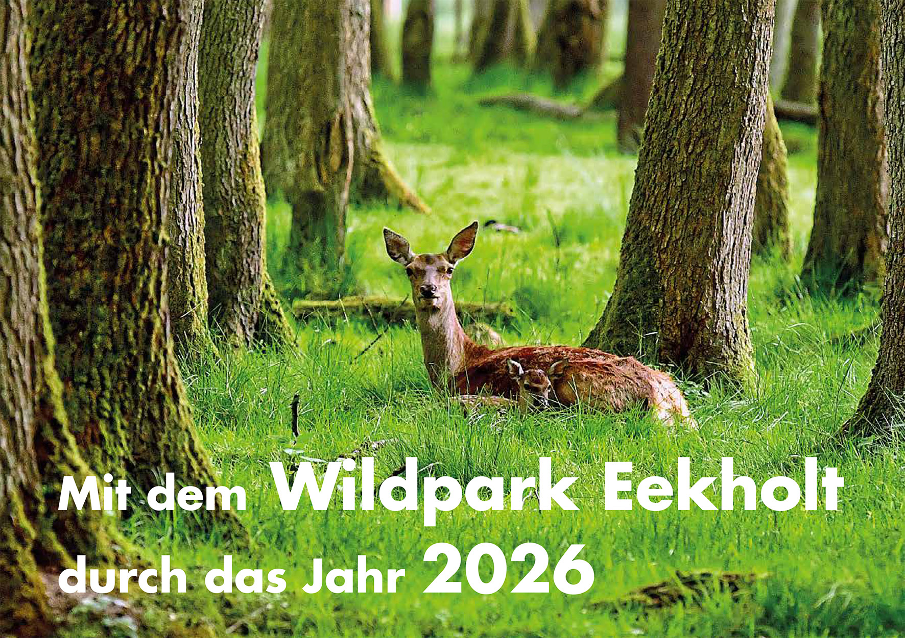 Eekholt-Kalender 2026