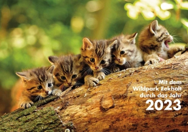 Kalender 2023