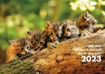 Kalender 2023